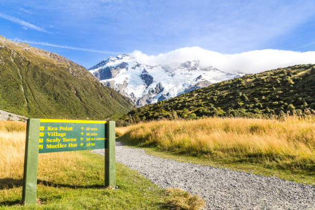 istock Mount Cook, New Zealand. 938292230