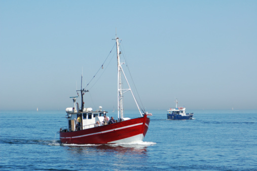 A number of trawlers at a harbour