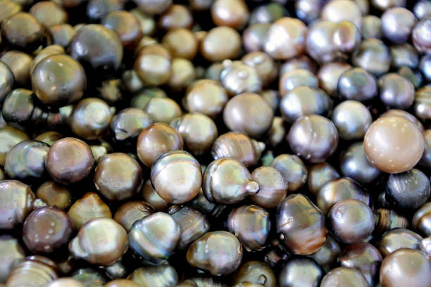 Tahitian Black Pearls background