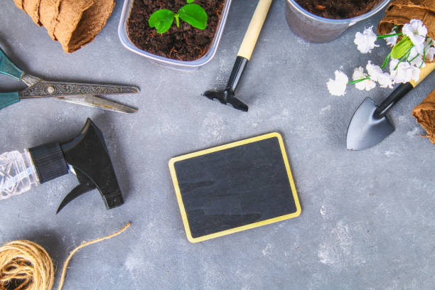 istock Garden tools and pots on a gray concrete background. Chalk board. Top view, copy space. 938314100