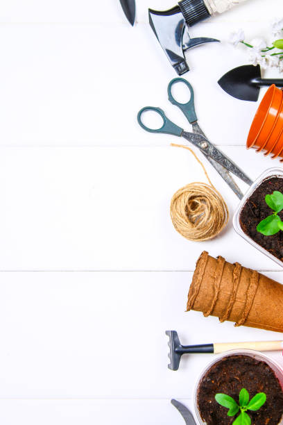 istock Garden tools, pots, seedlings on a white wooden table. Copy the space. Top view. 938314116