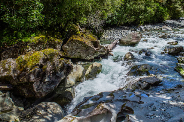 istock Small waterfall in New Zealand forest 938314562