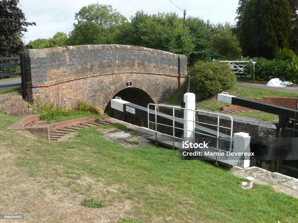 Lower Maunsel lock and bridge A lock and old stone bridge on the Bridgwater and Taunton canal. Animal Stock Photo