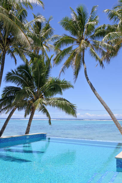 istock Swimming pool in a tropical resort on a bright clear day 938326742
