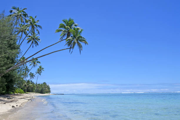 istock Landscape Titikaveka beach Rarotonga Cook Islands 938326840