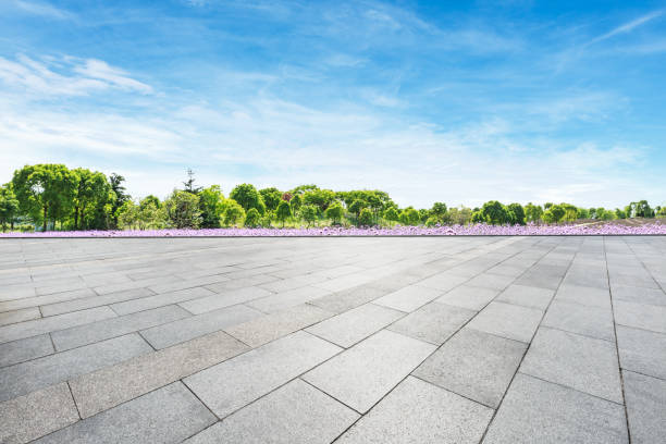 istock square floor and green trees nature landscape 938327292