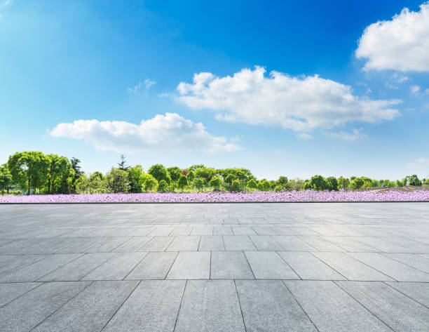 istock square floor and green trees nature landscape 938327294
