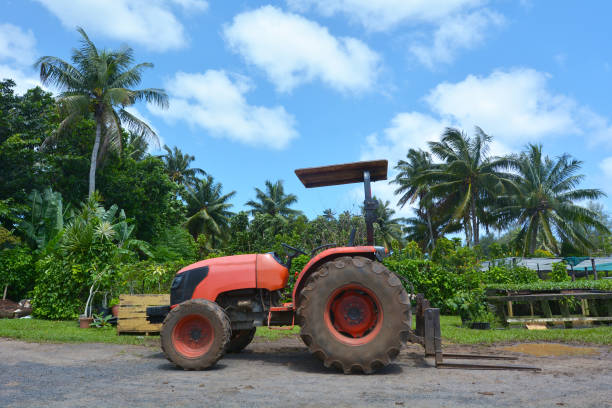 istock Red tractor on a field in Rarotonga Cook Islands 938330114