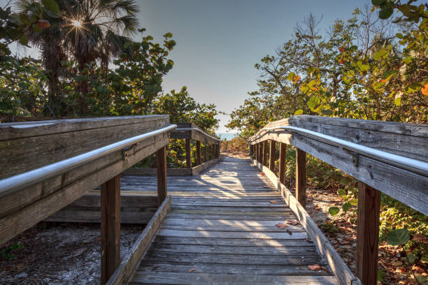 istock Boardwalk across the white sand beach of Delnor-Wiggins Pass State Park 938337708