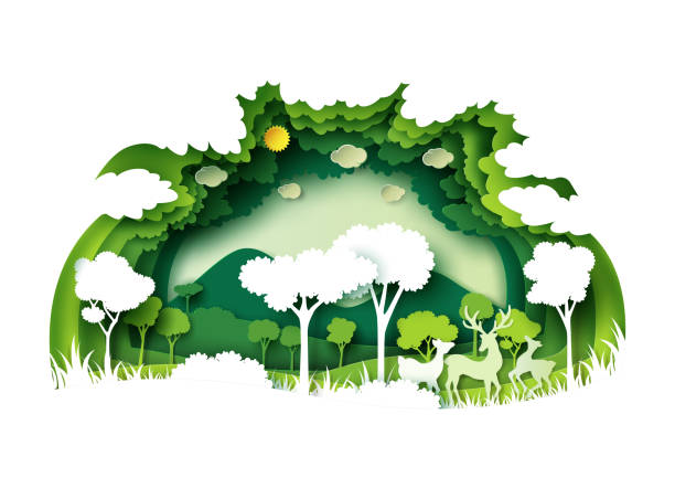 illustrazioni stock, clip art, cartoni animati e icone di tendenza di foresta verde e fauna selvatica con sfondo naturale strati stile artistico carta - clima illustrazioni