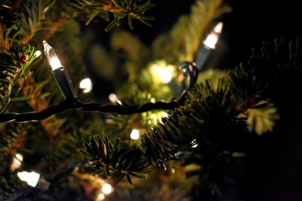 istock Christmas lights hanging on a christmas tree branch. 938338048