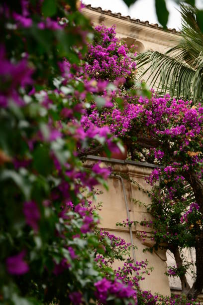 istock Italy,  Amalfi Coast 938340332