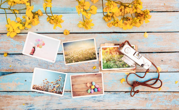 jarní fotografie - třešně bobulové ovoce fotky - stock snímky, obrázky a fotky