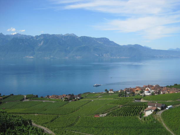 istock Beautiful scenery of Switzerland - Lavaux - 938353368