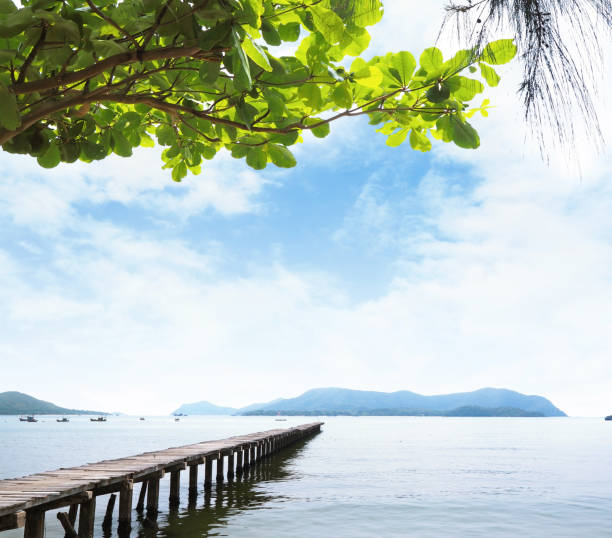 istock old wooden bridge on the sea 938360978