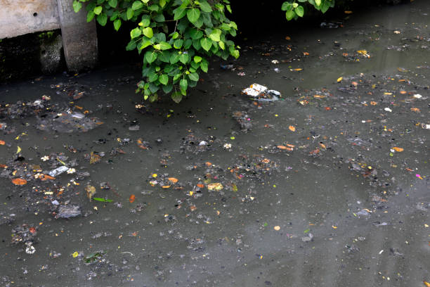 istock contamination of the environment in the river 938365430
