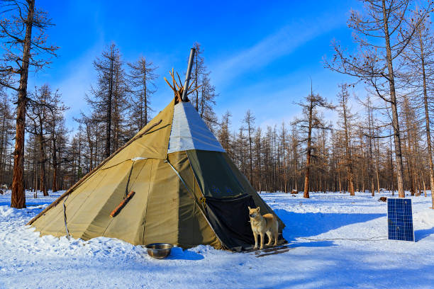 istock Traditional Tsaatan chum in Mongolia 938369120