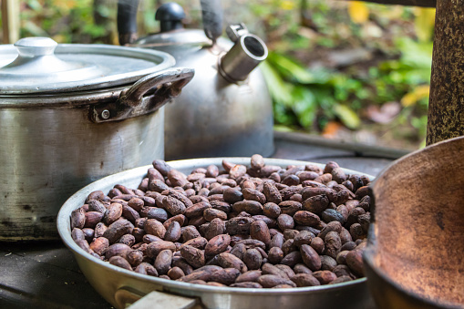 Roasted cocoa beans in skillet. Chocolate production