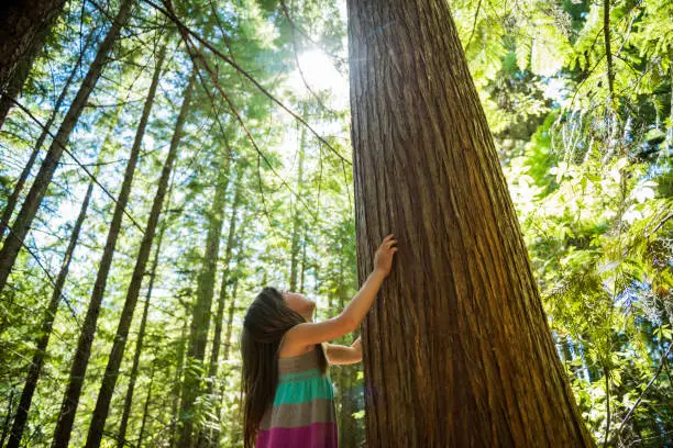 Photo of Child connecting with nature