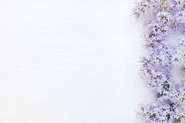 istock Lilac branch on a white wooden surface. Spring background. 938376500