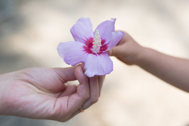 Mother and child to hand flowers