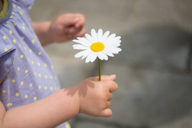 istock Little girl with flowers 938378920