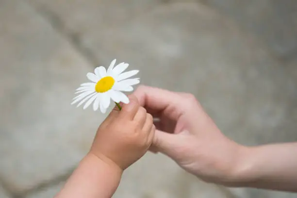 Photo of Mother and child to hand flowers