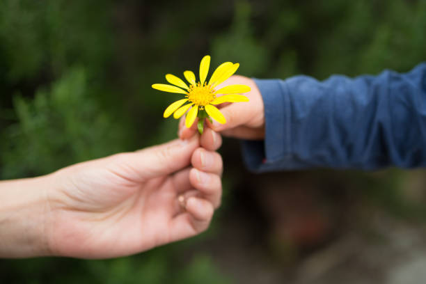 istock Mother and child to hand flowers 938379066