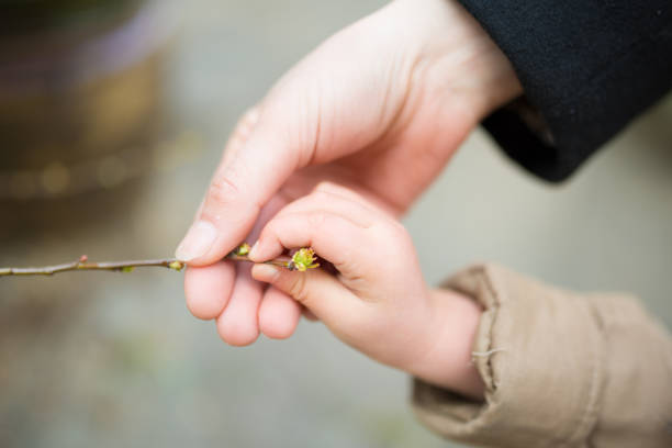 istock Parent and child hand touching the sprout 938379156