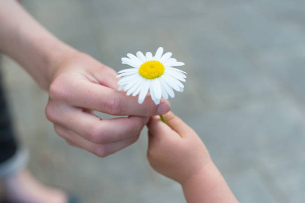 matka i dziecko do rąk kwiaty - child little girls single flower flower zdjęcia i obrazy z banku zdjęć