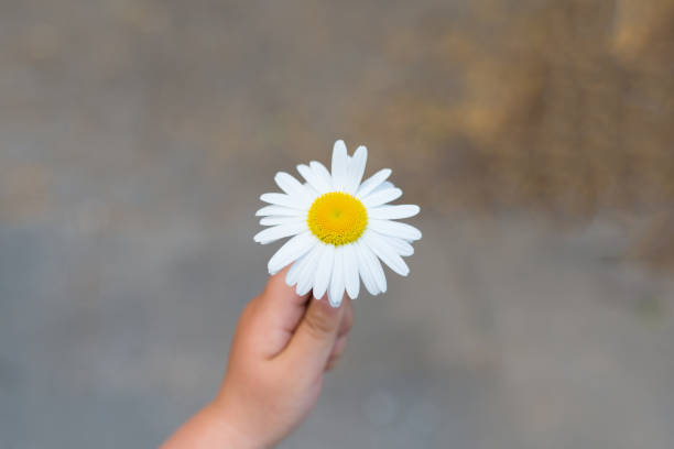 istock Little girl with flowers 938379380