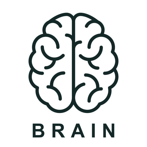 menschliche gehirn symbol mit neuronalen anleihen - lager vektor - brain stock-grafiken, -clipart, -cartoons und -symbole