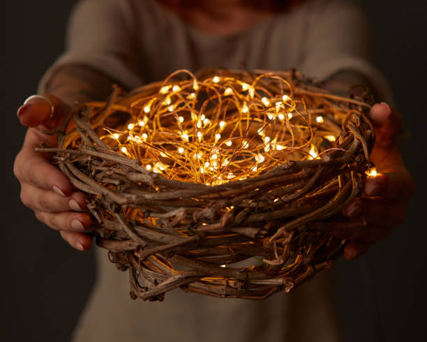 istock Woman hands holding a nest with lights on dark background 938386676
