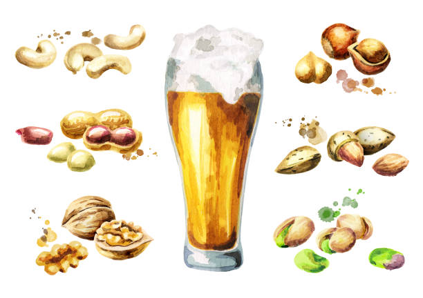 맥주와 땅콩 스낵 피스타치오, 땅콩, 아몬드, 호두, 캐슈, 헤이즐넛으로 설정합니다. 수채화 - beer nuts food isolated white stock illustrations