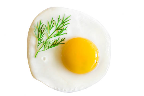 istock Fried egg, food, egg, yolk,, on white background 938392416