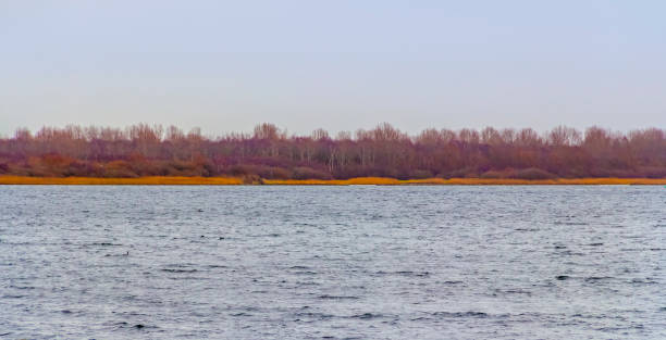 istock coastal scenery in the Netherlands 938396546