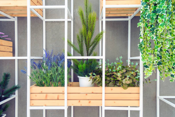 Ornamental plants in a pot on wooden box in steel shelf on a wall.