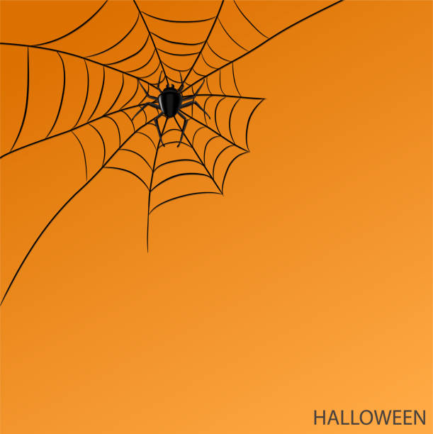 istock Spider on web on halloween orange background for your design, stock vector illustration 938405792
