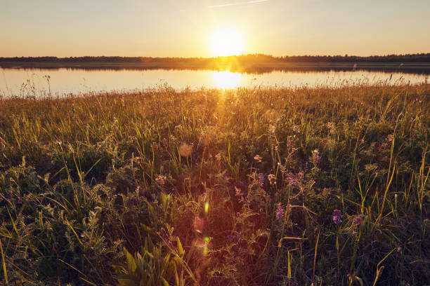istock Summer landscape sunset over the lake on evening 938406246