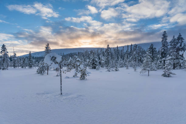 istock Beautiful landscape view from the Swedish mountains 938409078