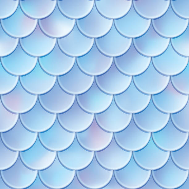 Textur Tail 940+ Mermaid Tail Scales Stock Photos, Pictures & Royalty-Free Images ...