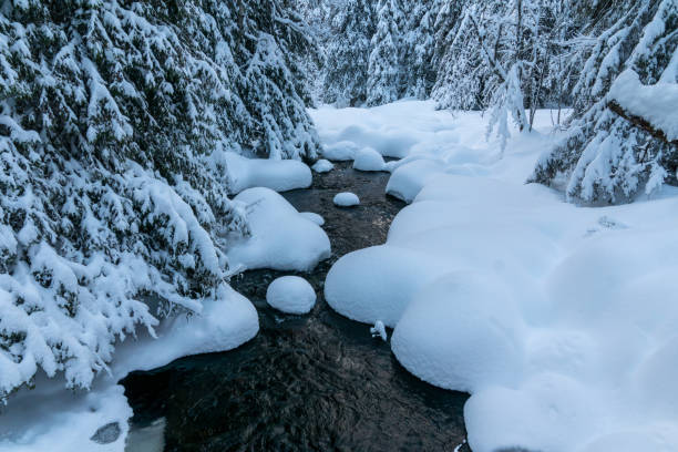 istock Small snow covered creek in northern Sweden 938409510