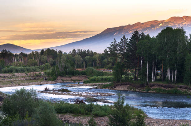 istock Mountain river and forest trees on the sunset, Altai Mountains, Kazakhstan 938409722