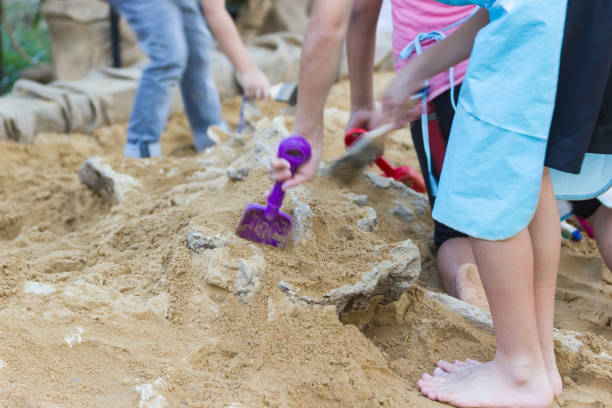 istock Children are learning dinosaur remains, Excavating dinosaur fossils simulation in the park. 938413648