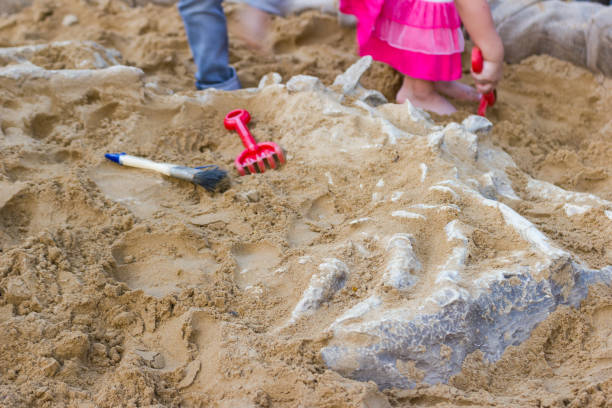 istock Children are learning dinosaur remains, Excavating dinosaur fossils simulation in the park. 938413656