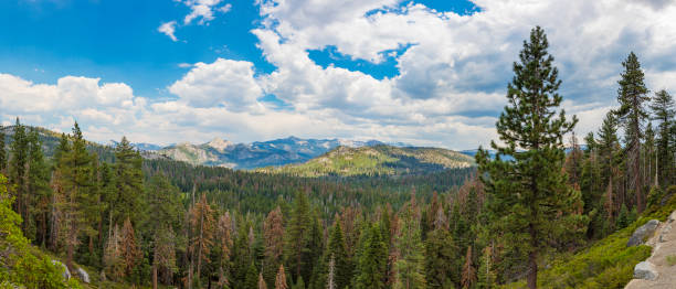 istock Valley Landscape in Yosemite National Park 938414070