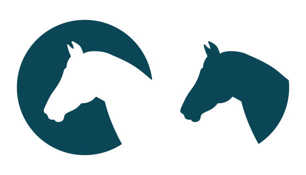 illustrations, cliparts, dessins animés et icônes de icône tête de cheval vecteur - cheval