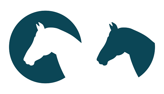 Vector horse head silhouette equesterian logo template