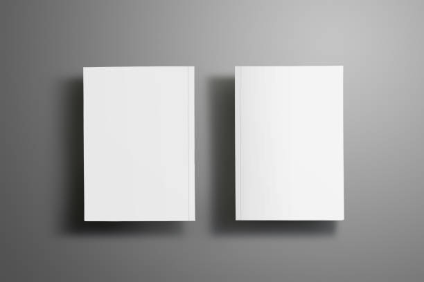 istock Two elegant blank closed A4, (A5) brochures with soft realistic shadows isolated on gray background. 938419490