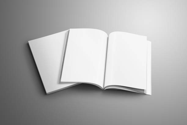 istock Two blank A4, (A5) magazines with soft realistic shadows isolated on gray background. 938419614